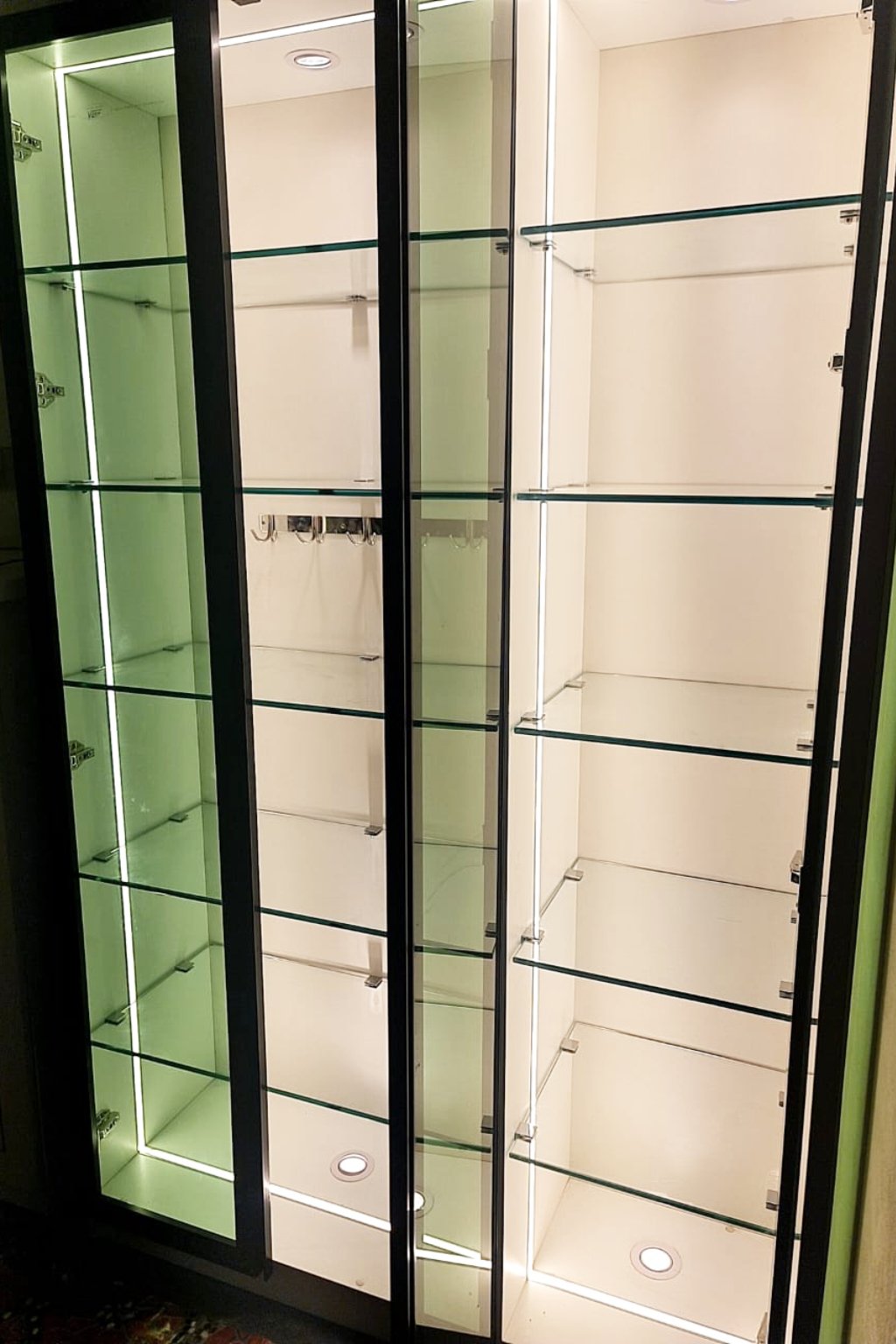 LuxeView Display Cabinet - Image 3